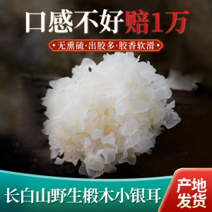 东北长白山椴木小银耳干货250g小朵野生特级无硫白木耳雪耳糯丑耳