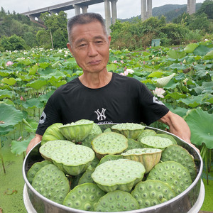 3斤现摘现发新鲜嫩莲蓬 应季水果甜嫩莲子 江西广昌大莲蓬 青绿色