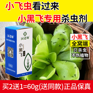 园老师月季多肉绿植灭小黑飞专用药杀虫剂花卉蔬菜通用家庭园艺