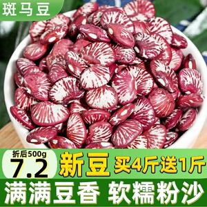 云南斑马豆大腰豆500g农家自产花芸豆皇帝豆大肾豆饭豆扁豆紫芸豆