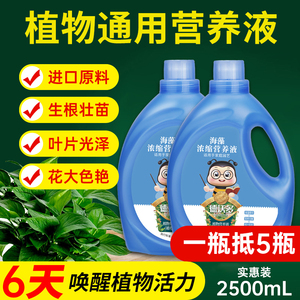 营养液植物通用型花肥料养花家用花卉盆栽花草绿萝兰花富贵竹专用