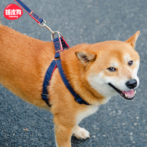 狗狗牵引绳遛狗绳中型小型犬项圈胸背带泰迪博美法斗柯基狗狗用品