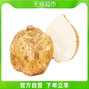 精选沙葛约450g/个新鲜蔬菜清脆爽口