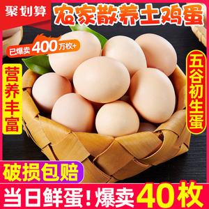 土鸡蛋农家散养新鲜正宗草鸡蛋笨柴鸡蛋孕妇月子蛋40枚整箱包邮