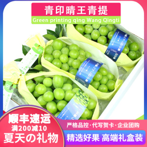 日本品种3斤2串云南香印青提礼盒装阳光玫瑰晴王葡萄新鲜水果提子