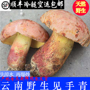 红葱牛肝菌 见手青现货 新鲜野生菌 云南野生菌 变色蘑菇黑黄牛肝