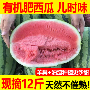 包邮 富硒大西瓜现摘现发宁夏中卫沙瓤沙新鲜应季水果硒砂瓜12斤