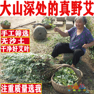 野生艾草艾叶泡脚包去湿气干艾草家用新鲜艾叶草月子专用产后足浴