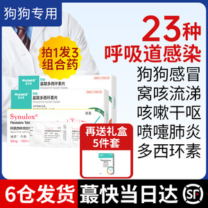 窝不咳盐酸多西环素片狗狗感冒药咳嗽宠物流鼻涕干呕幼犬窝咳肺炎