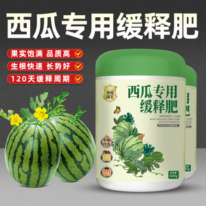 西瓜专用缓释肥复合肥家用型控释颗粒植物盆栽绿植花卉养花肥料