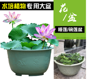 特大号圆形加厚水培无孔荷花盆睡莲碗莲花专用塑料花盆龙缸盆无托