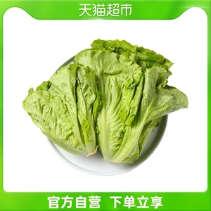 日日鲜生菜400g/份蔬菜新鲜食用混合即食质地脆嫩