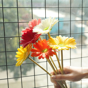 PU手感仿真扶郎花假花摆设家居客厅餐桌摆花装饰花雏菊花艺摆件