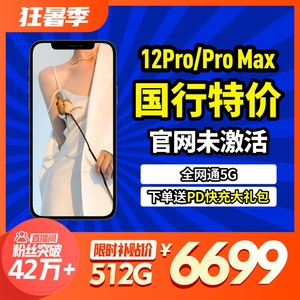 Apple/苹果 iPhone 12 Pro Max国行库存机权益机资源机BS机