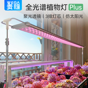 贵翔多肉补光灯Plus版 上色全光谱家用LED植物生长灯室内仿太阳光