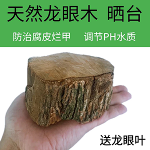 乌龟缸晒背台爬坡房子小别墅养龟缸水陆两用高水位造景爬台休息台