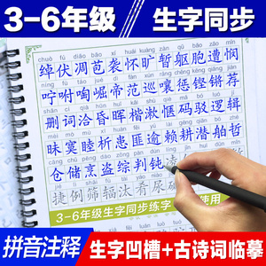 三四4五六3-6年级上册下册字帖小学生凹槽练字帖板本儿童钢笔楷书