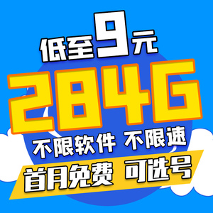 电信流量卡纯流量上网卡流量无线卡手机卡电话卡不限速4g5g大王卡