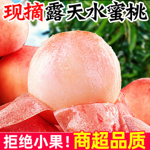 露天水蜜桃10斤大桃子时令水果新鲜应当季脆蜜甜桃白肉包邮蜜桃