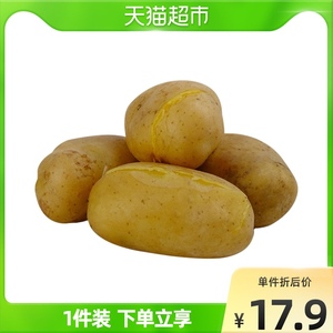 鲜馥山东大土豆黄心土豆3斤/5斤产地直发