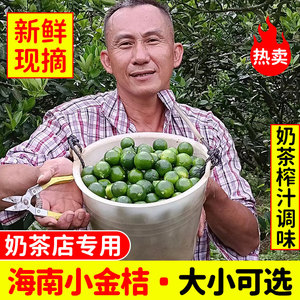 海南小金桔新鲜小青柠青桔奶茶店专用青金桔柠檬鲜果小青橘皮薄