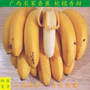 天天特价新鲜香蕉 新鲜banana  新鲜水果 农家香蕉现砍现发包邮