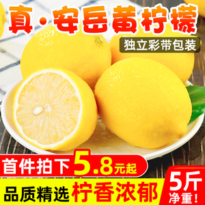 四川安岳黄柠檬5斤新鲜水果包邮当季精选香水柠檬现摘青皮薄多汁