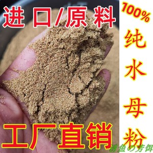 鱼饵水母粉蜘蛛丝罗非冷冻料伴侣泡泡球伴侣增粘剂网状粉鲫鲤垂钓