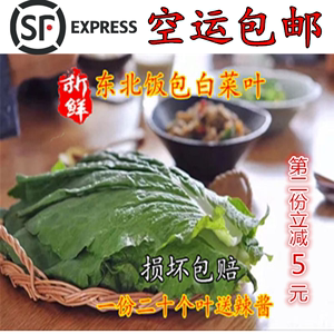 东北新鲜白菜叶子饭包叶大白菜叶蔬菜白菜叶蘸酱菜20片包邮顺丰