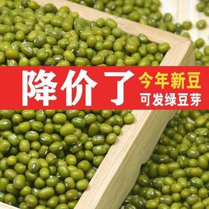 绿豆东北农家新绿豆1000g绿豆粥解暑绿豆汤笨绿豆发豆芽绿豆糕