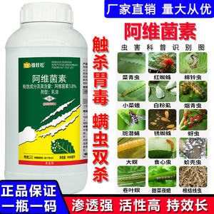 阿维菌素茵素柑橘果树蚜虫青蔬菜通用杀虫剂水稻月季红蜘蛛专用药