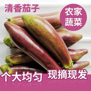 东北蔬菜特产酱 茄子花茄子面包茄子冰茄子长茄子四斤五斤包邮