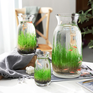 9.8元2个生态瓶玻璃插花瓶水培草种子四季微景观摆件diy创意鱼缸