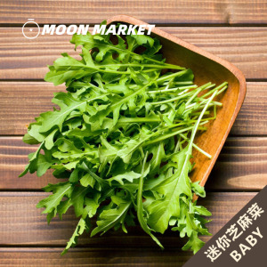 【魔月】迷你芝麻菜 Baby Arugula  50g