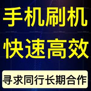 适用于vivo华为p20p30p9荣耀oppos9真我iqoo手机救砖远程安卓刷机