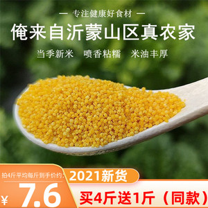 黄小米沂蒙山农家自种食用五谷杂粮山东月子米宝宝小黄米500g新米