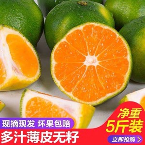 现摘云南冰糖蜜桔橘子新鲜水果青皮蜜橘薄皮早熟10包邮9斤甜柑橘