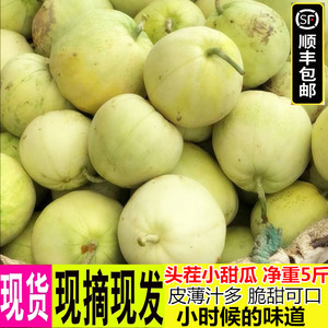 顺丰包邮10斤头茬甜瓜小香瓜脆瓜新鲜水果湖北小白瓜梨瓜泥瓜蜜瓜