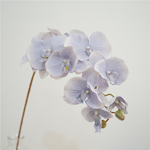 欧式复古仿真蝴蝶兰秋色系花材婚庆装饰造景用花家居装饰餐桌花艺