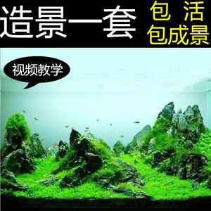 鱼缸造景套餐水草泥草种子假山造景石底砂鱼缸装饰水族箱水草包邮