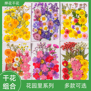 新品押花滴胶手工diy材料包化妆造型个人写真贴脸妆压花真花标本