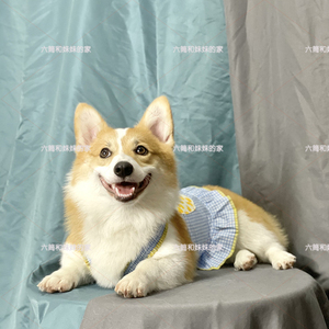 宠物狗狗猫咪夏款吊带背心裙子格子法斗柯基泰迪小中型犬可爱衣服