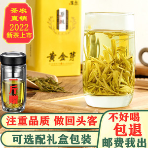 2022新茶正宗黄金茶安吉雨前白茶特级黄金芽茶叶散装绿茶250g罐装