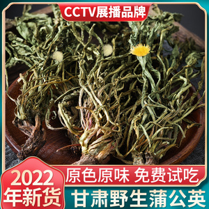 蒲公英野生整根500g克蒲公英茶正品特级干货蒲公英根茶新鲜中药材