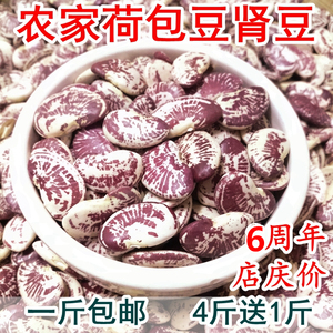 云南农家荷包豆状元豆大肾豆500g豆类五谷杂粮花芸豆斑马豆子花豆