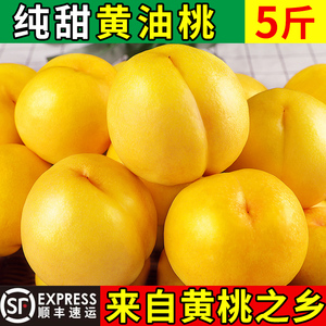 【芭芭农场】蒙阴黄油桃脆甜黄金蜜桃5斤时令水果新鲜当季整