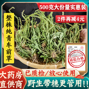 车前草干货新鲜中药材500g 袋装整颗车前草药干泡茶不野生蒲公英