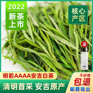 芳羽安吉白茶2022年新茶特级罐装250g正宗高山珍稀绿茶春茶叶浓香