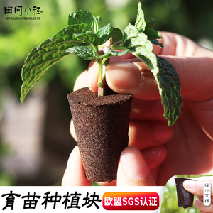 无土栽培育苗块塑料育苗盒水培基质植物播种盒扦插神器穴盘保温箱