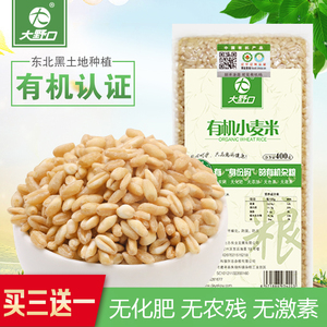 有机小麦米五谷杂粮粥小麦仁饭粗粮小麦粒麦仁米新鲜食用麦子400g